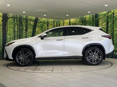 2023 Lexus NX thumbnail 72