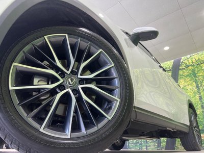 2023 Lexus NX thumbnail 14