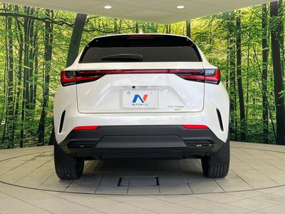 2023 Lexus NX thumbnail 16