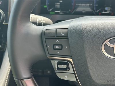 2025 TOYOTA ALPHARD 缩略图 28
