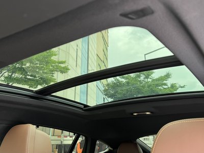 صورة مصغرة 17 لـ 2024 BMW X6