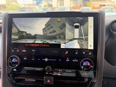 TOYOTA ALPHARD - 10