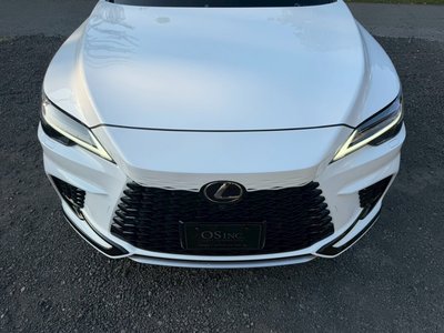 صورة مصغرة 19 لـ 2023 Lexus RX