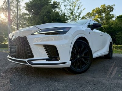 LEXUS RX - 8