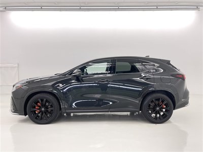 2023 Lexus NX thumbnail 17