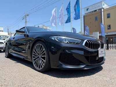 2019 BMW 8 SERIES CABRIOLET — миниатюра 39