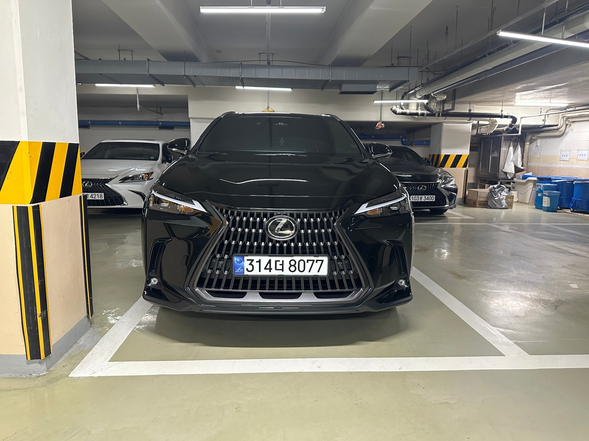 LEXUS NX - View 1