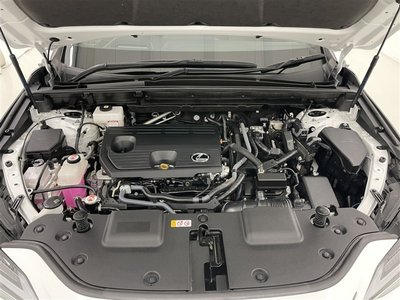 2023 Lexus NX — миниатюра 16