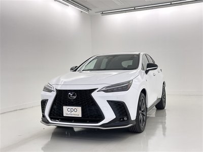 LEXUS NX - 1