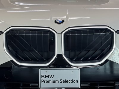 صورة مصغرة 18 لـ 2025 BMW X3
