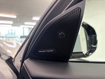 صورة مصغرة 34 لـ 2025 BMW X3