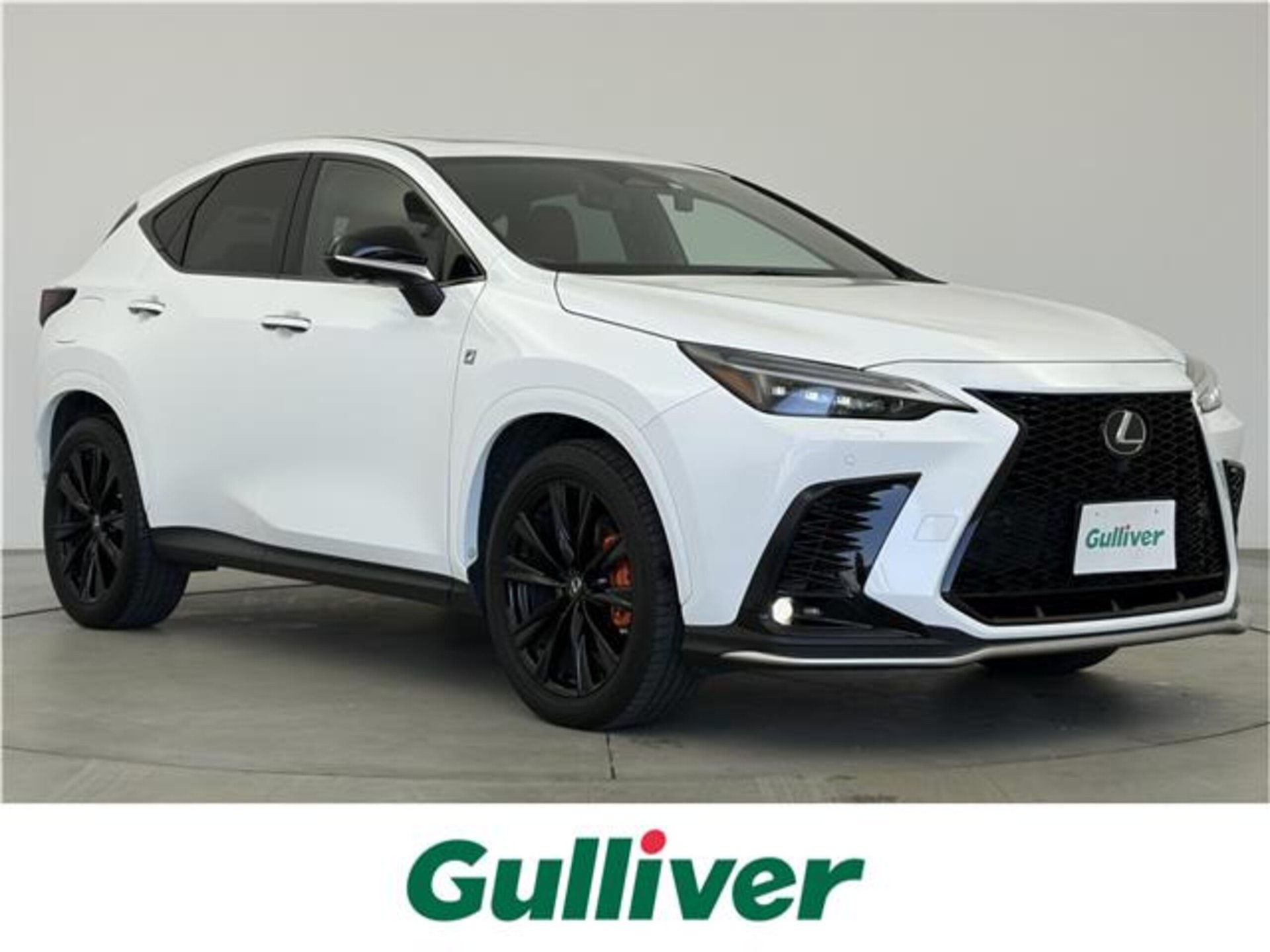 LEXUS NX - View 1