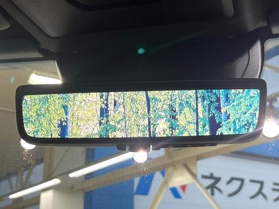TOYOTA LAND CRUISER 250 - 6