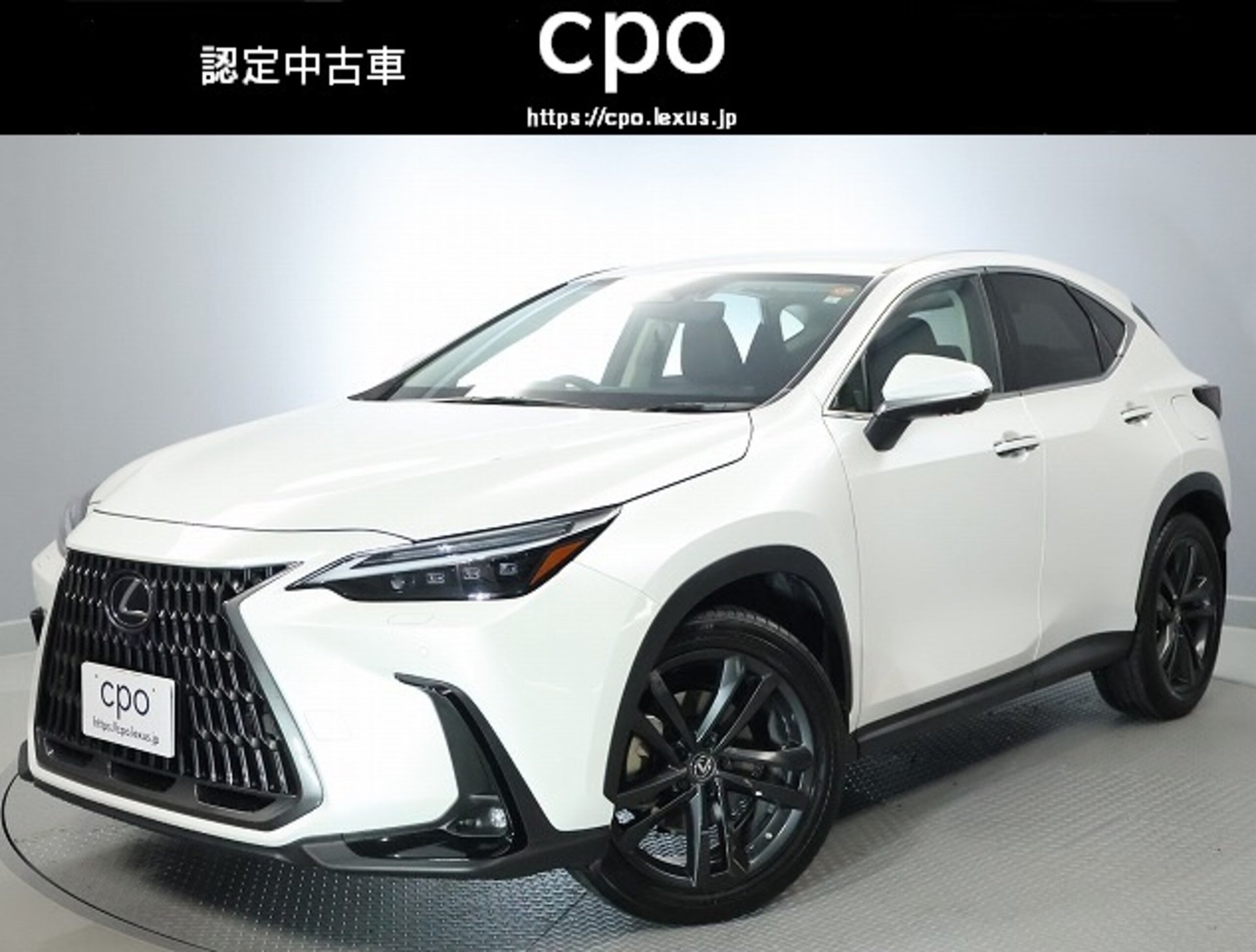 LEXUS NX - View 1