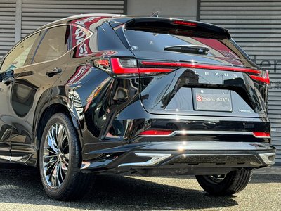 LEXUS NX - 10