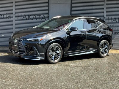 LEXUS NX - 3