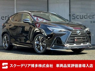 LEXUS NX - 1