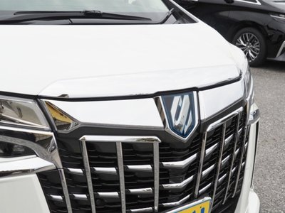 2022 Toyota ALPHARD 缩略图 14