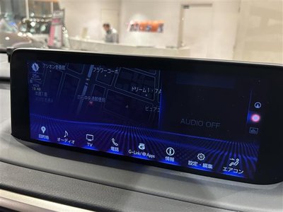 LEXUS RX - 10