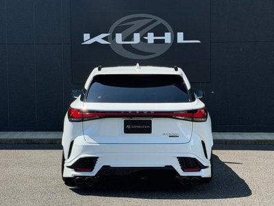 LEXUS RX - 10