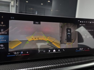 2025 BMW X7 缩略图 21