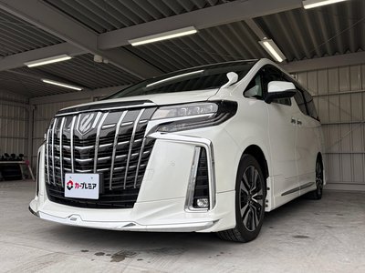TOYOTA ALPHARD - 3