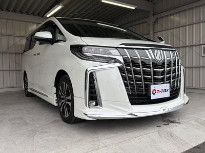 TOYOTA ALPHARD - 9