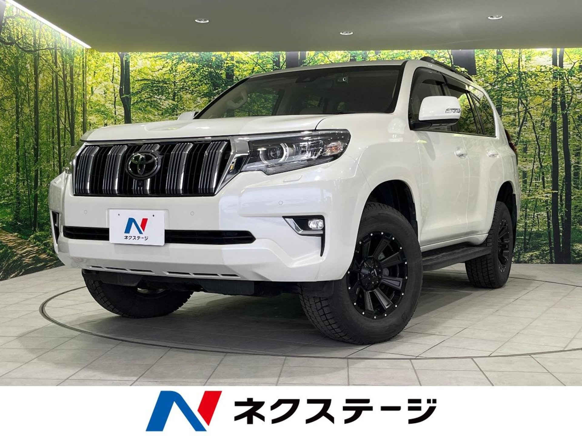 TOYOTA LAND CRUISER PRADO - View 1