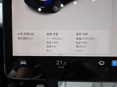 2021 Tesla MODEL Y 缩略图 11