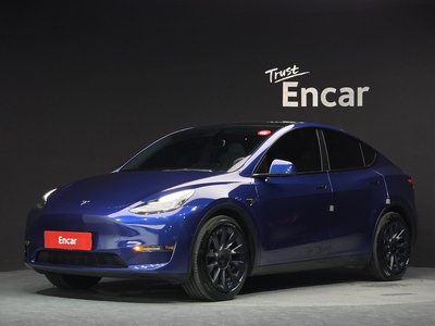 2021 Tesla MODEL Y photo 1