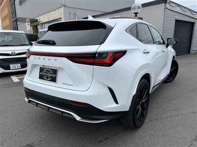 LEXUS NX - 6