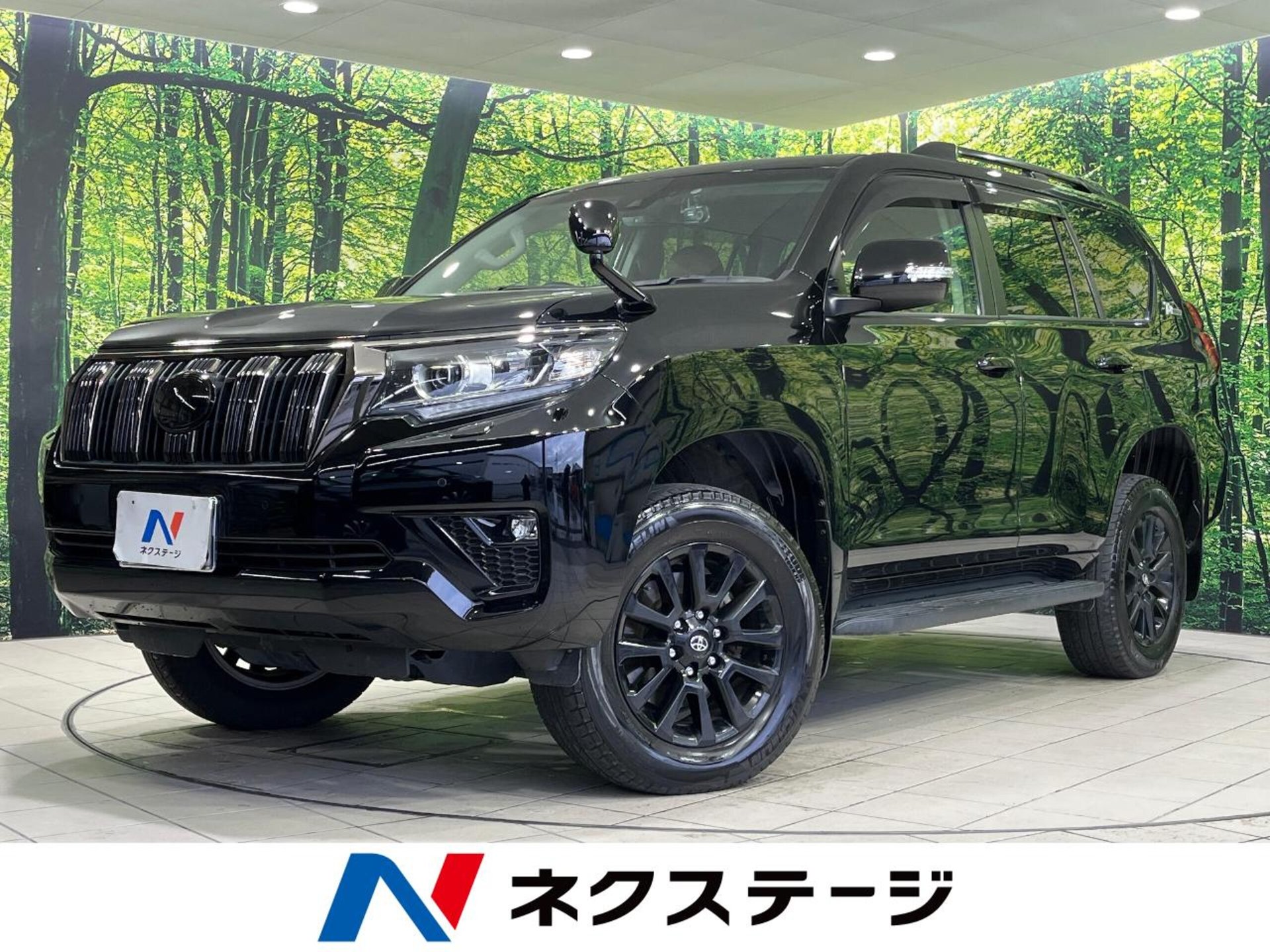 TOYOTA LAND CRUISER PRADO - View 1