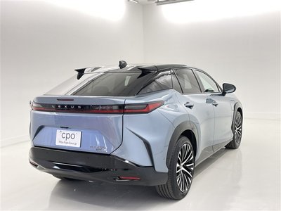 2023 Lexus RZ 缩略图 18