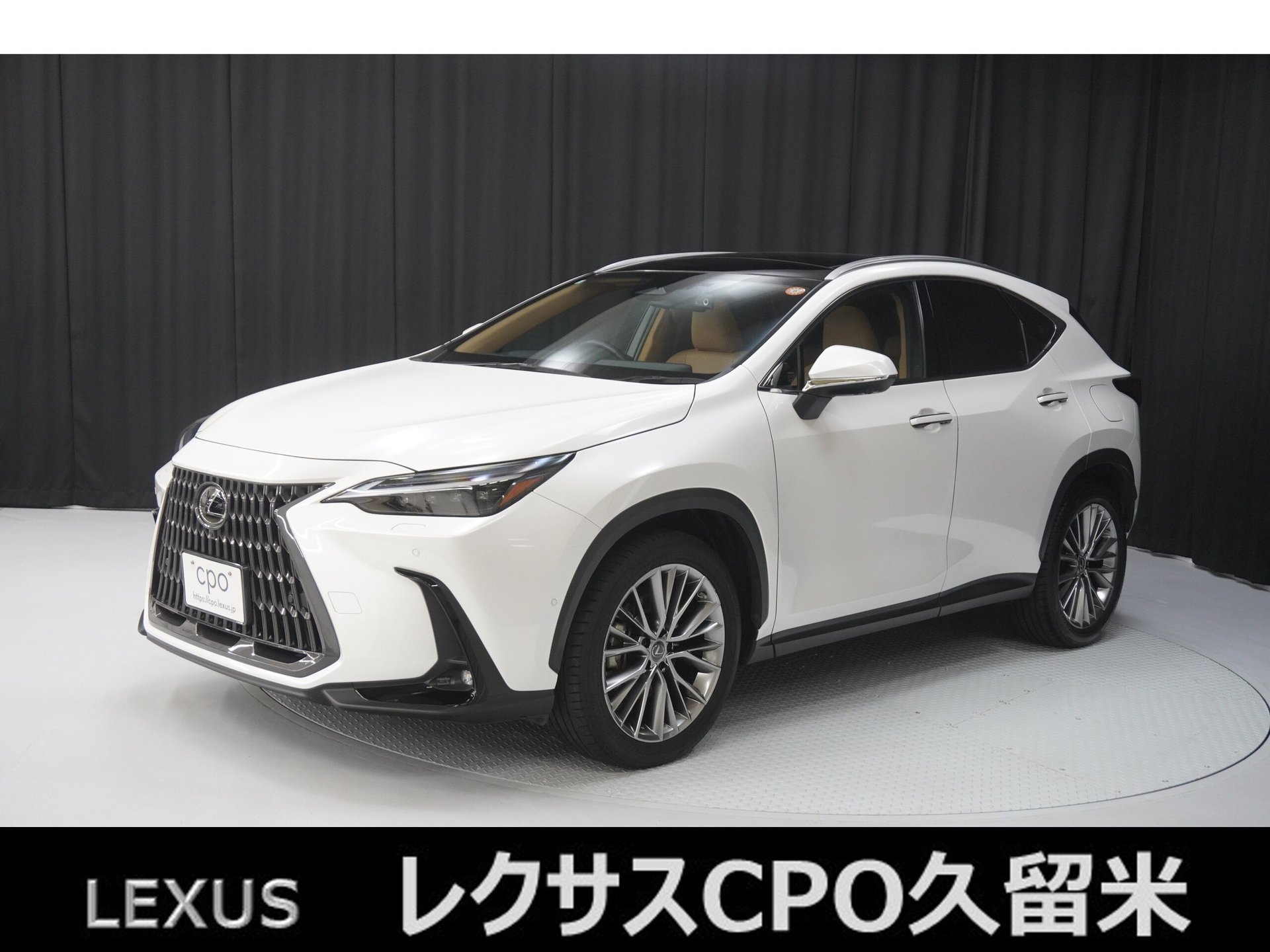 LEXUS NX - View 1