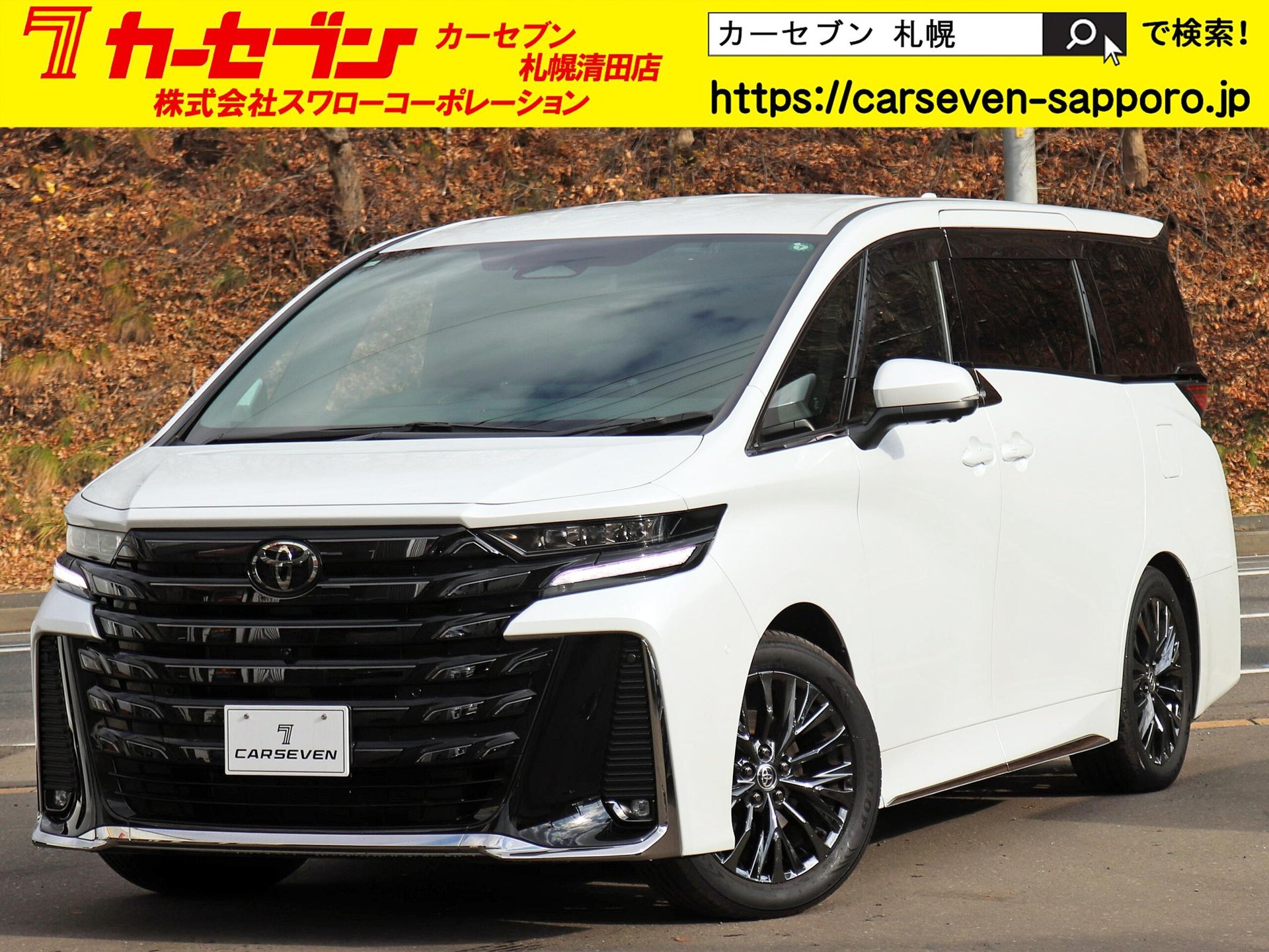 TOYOTA VELLFIRE - View 1