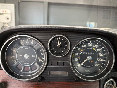1973 Mercedes-BENZ OTHERS 照片 28