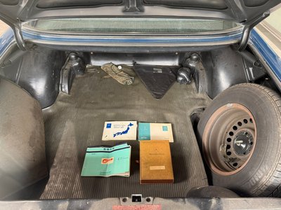 1973 Mercedes-BENZ OTHERS 照片 20