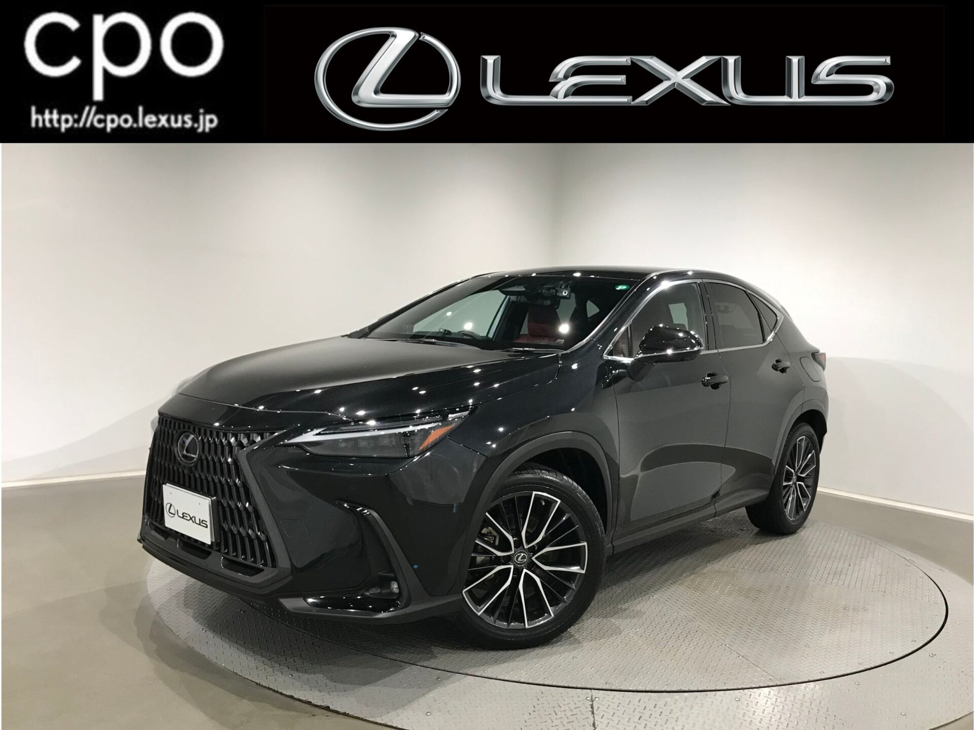 LEXUS NX - View 1