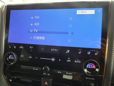 2024 Toyota ALPHARD — миниатюра 21