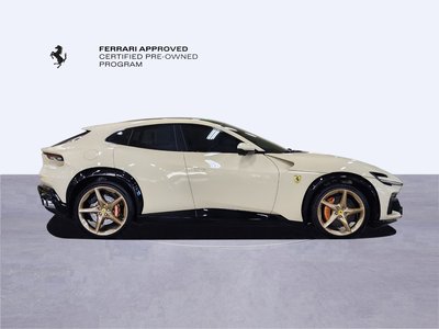 FERRARI PUROSANGUE - 7