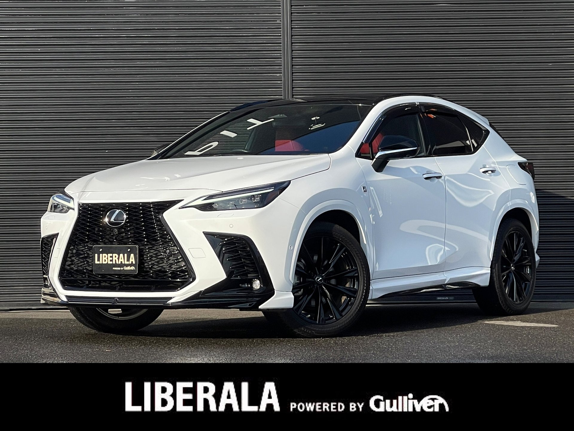 LEXUS NX - View 1