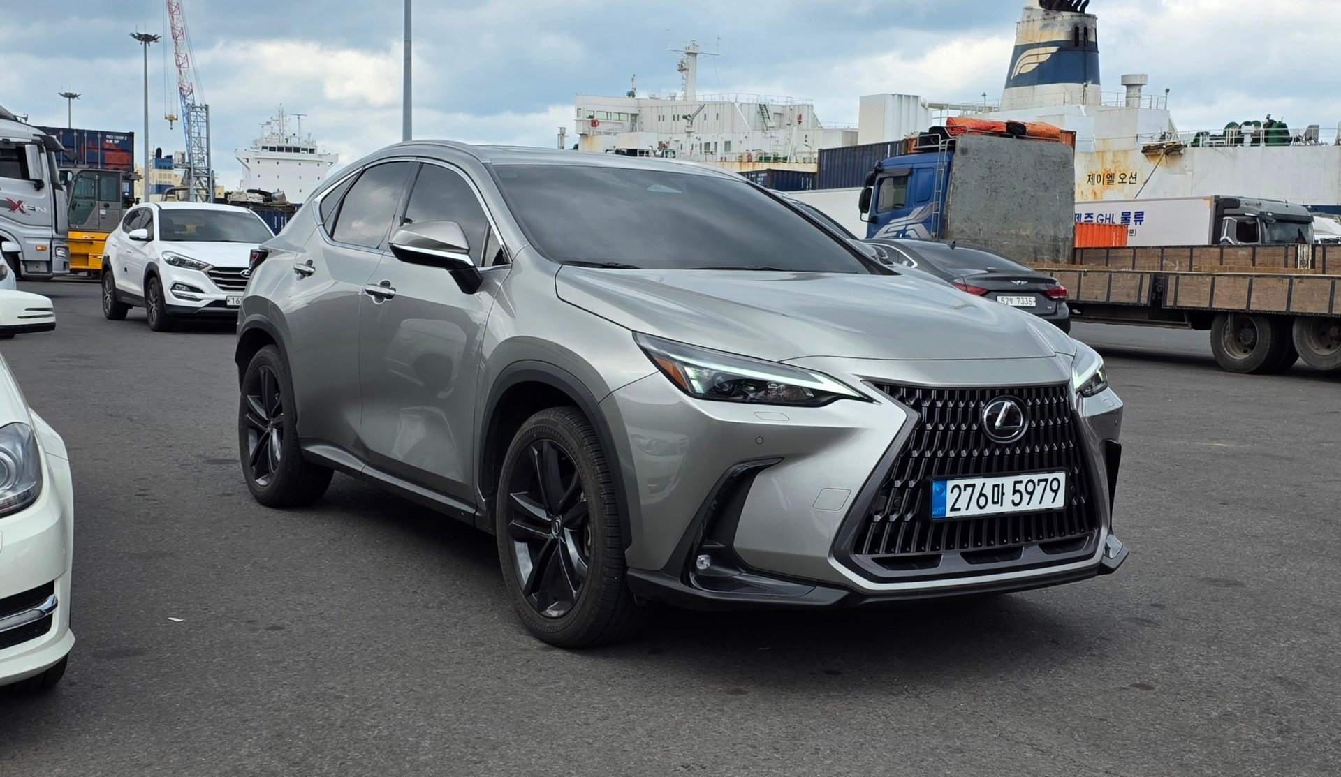 LEXUS NX - View 1
