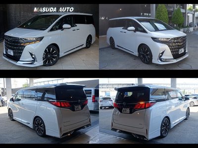 2025 Toyota ALPHARD thumbnail 17