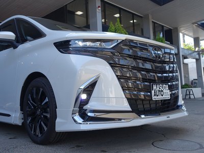 2025 Toyota ALPHARD thumbnail 24