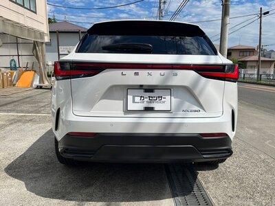 LEXUS NX - 6