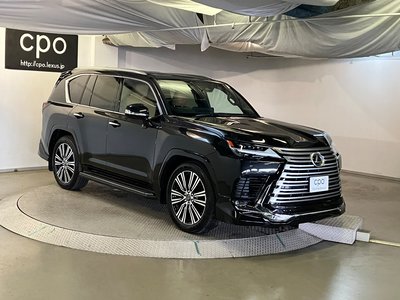 2025 Lexus LX 缩略图 14