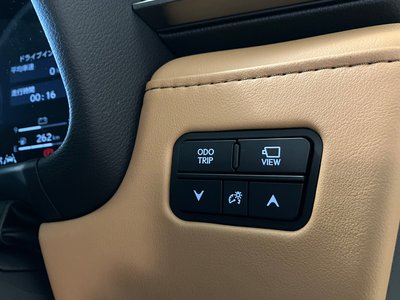 2025 Lexus LX 缩略图 29