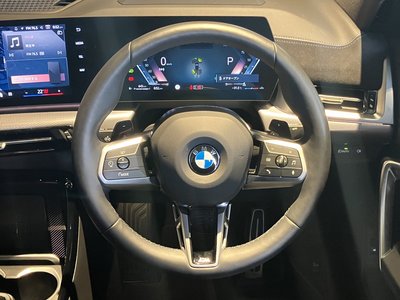 BMW X2 - 10