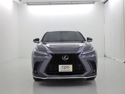 LEXUS NX - 4