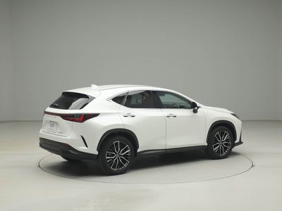 LEXUS NX - 10